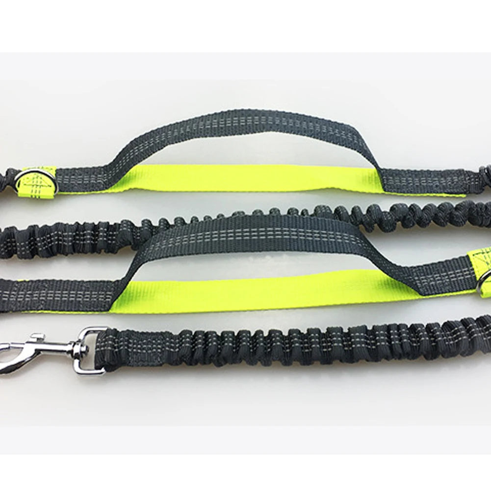 Laisse Réfléchissante Mains Libres – Ceinture Élastique pour Courir avec Chien, Corde de Traction Ajustable avec Anneau en Métal