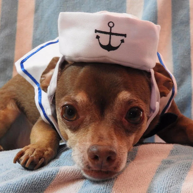 Costume marin pour animaux – déguisement drôle pour chat, chien ou lapin, style cosplay Halloween