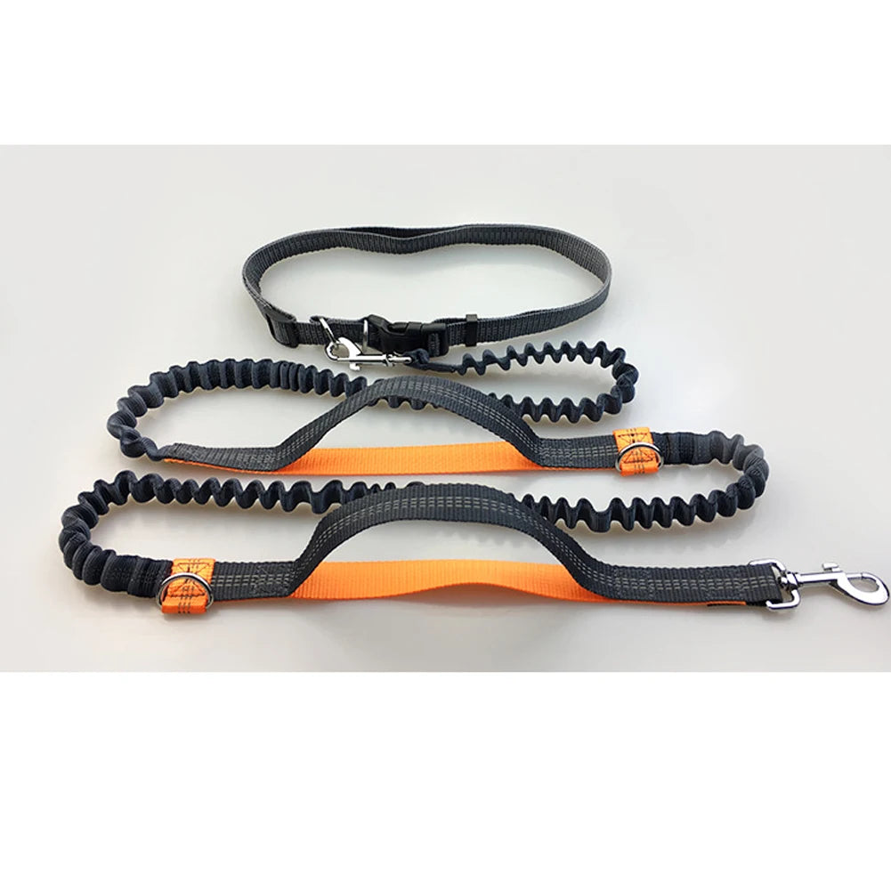 Laisse Réfléchissante Mains Libres – Ceinture Élastique pour Courir avec Chien, Corde de Traction Ajustable avec Anneau en Métal