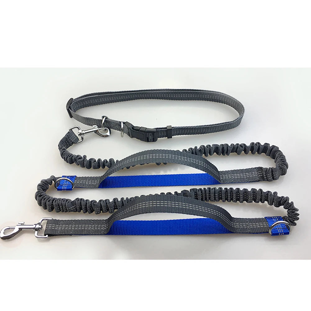 Laisse Réfléchissante Mains Libres – Ceinture Élastique pour Courir avec Chien, Corde de Traction Ajustable avec Anneau en Métal