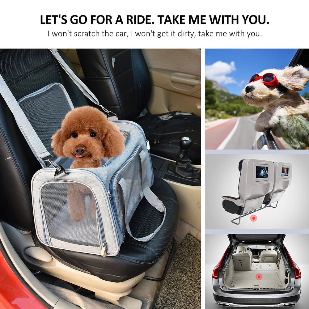 Sac de Transport pour Chiens & Chats – Sac à Dos Souple, Voyage & Avion