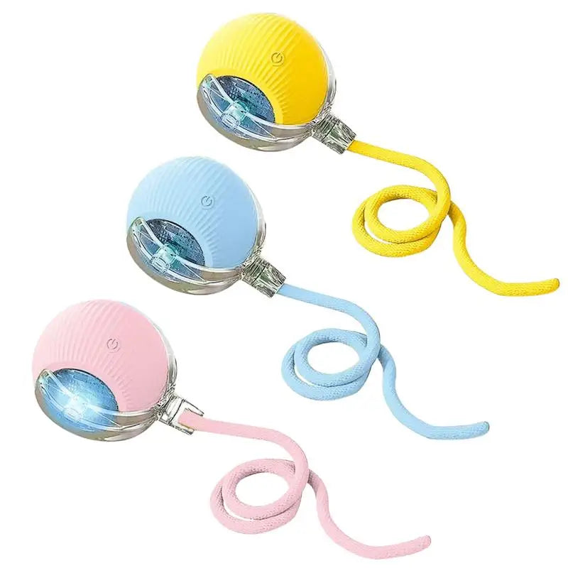 Jouets Interactifs pour Chats