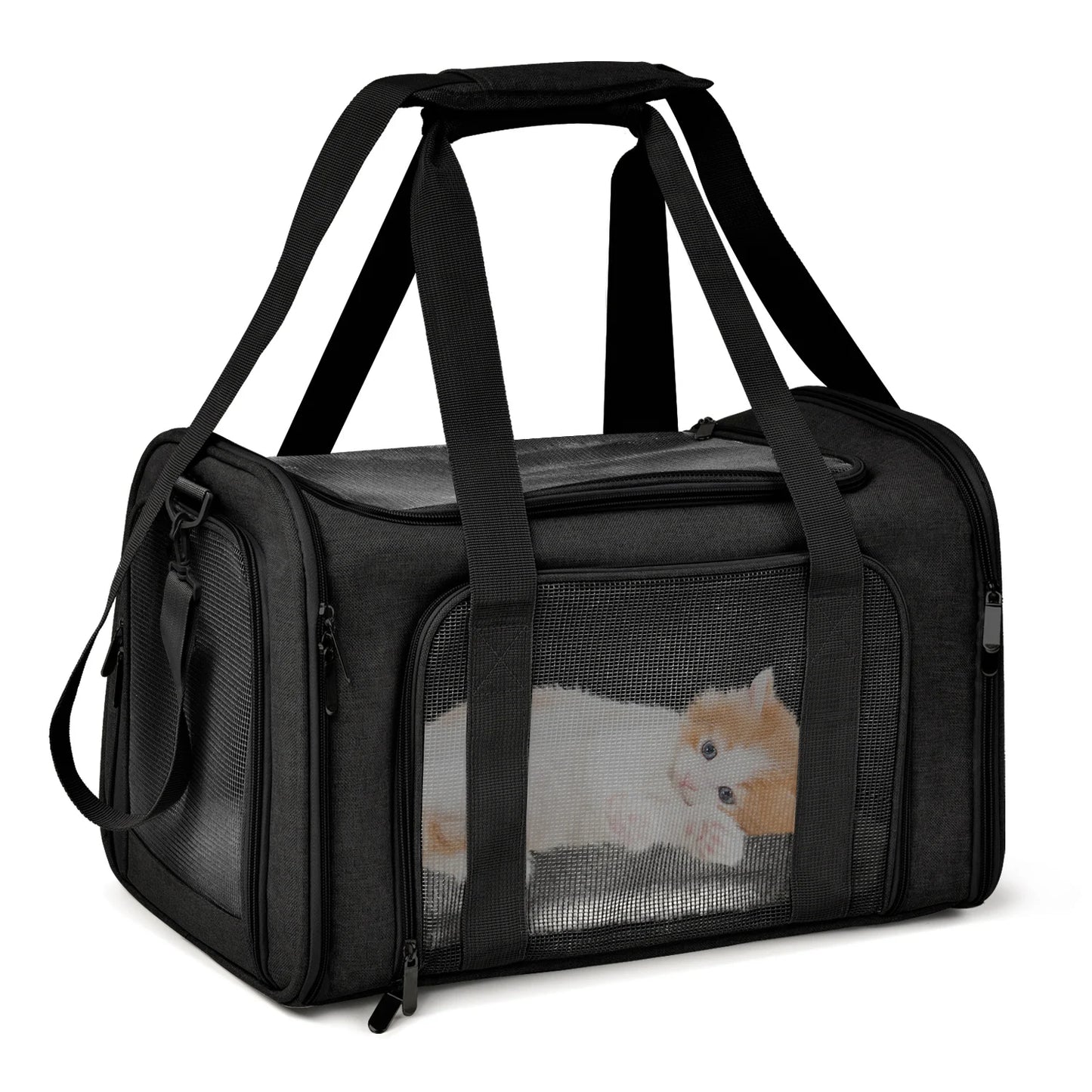 Sac de Transport pour Chiens & Chats – Sac à Dos Souple, Voyage & Avion