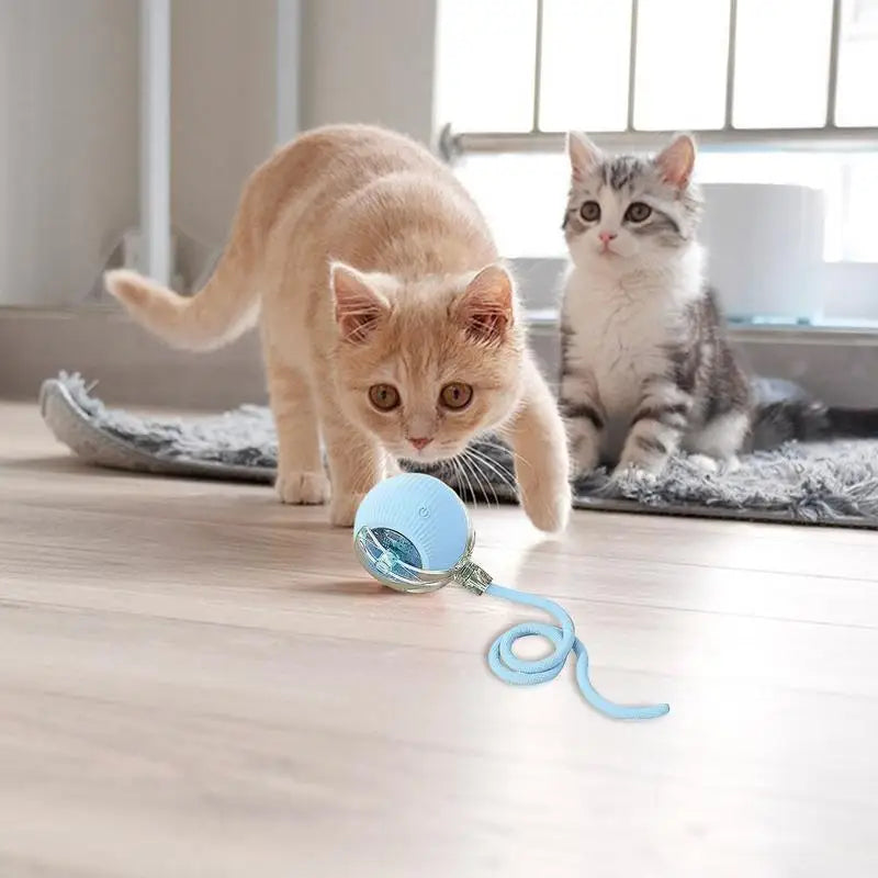 Jouets Interactifs pour Chats