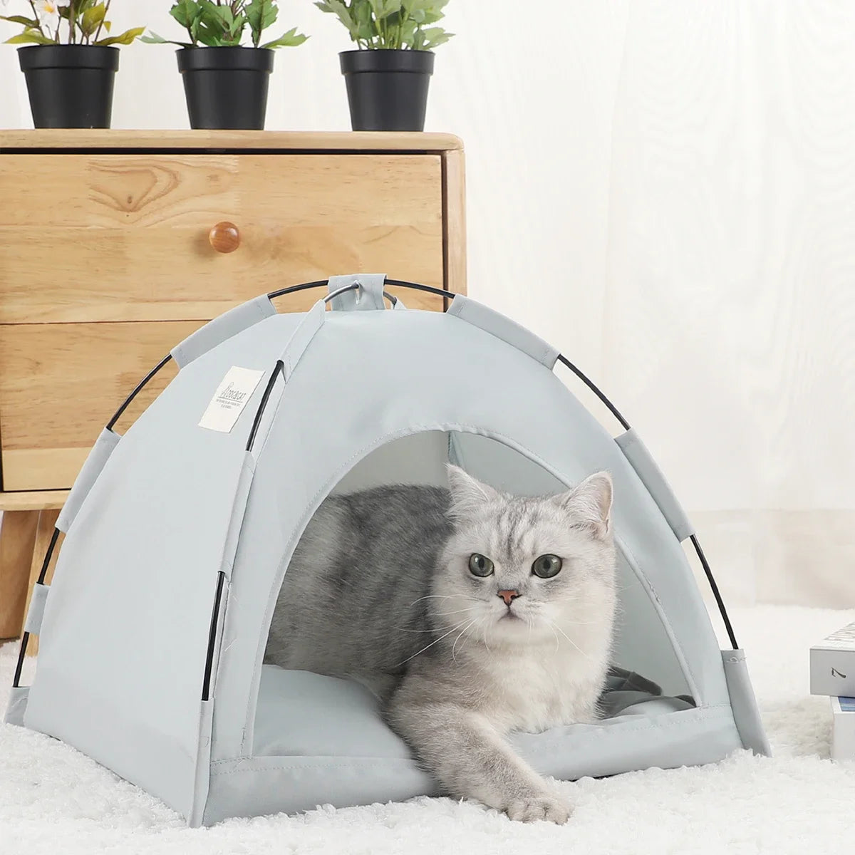 Tente lit pour chats avec coussin chaud