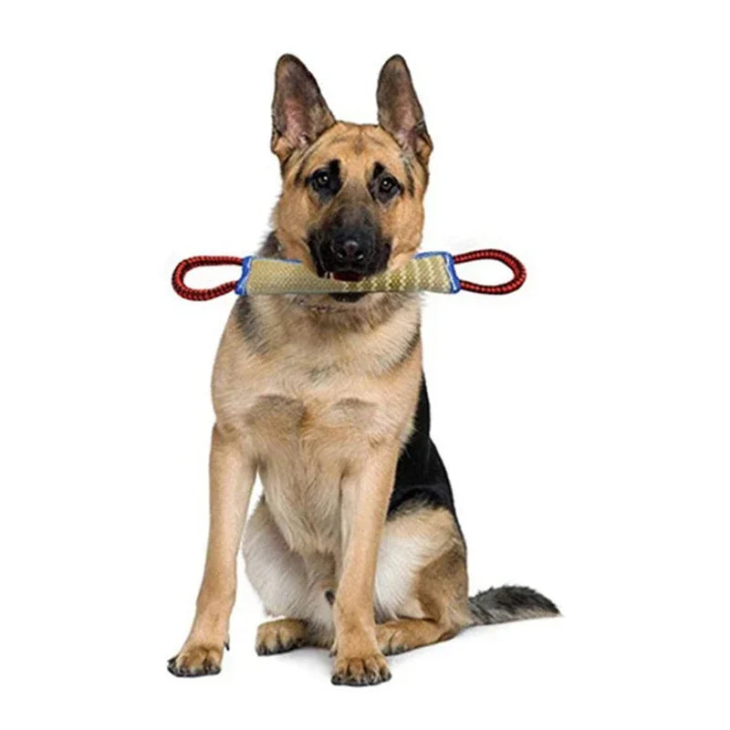 Bâton et coussin à mâcher en jute pour chien – Entraînement et nettoyage des dents