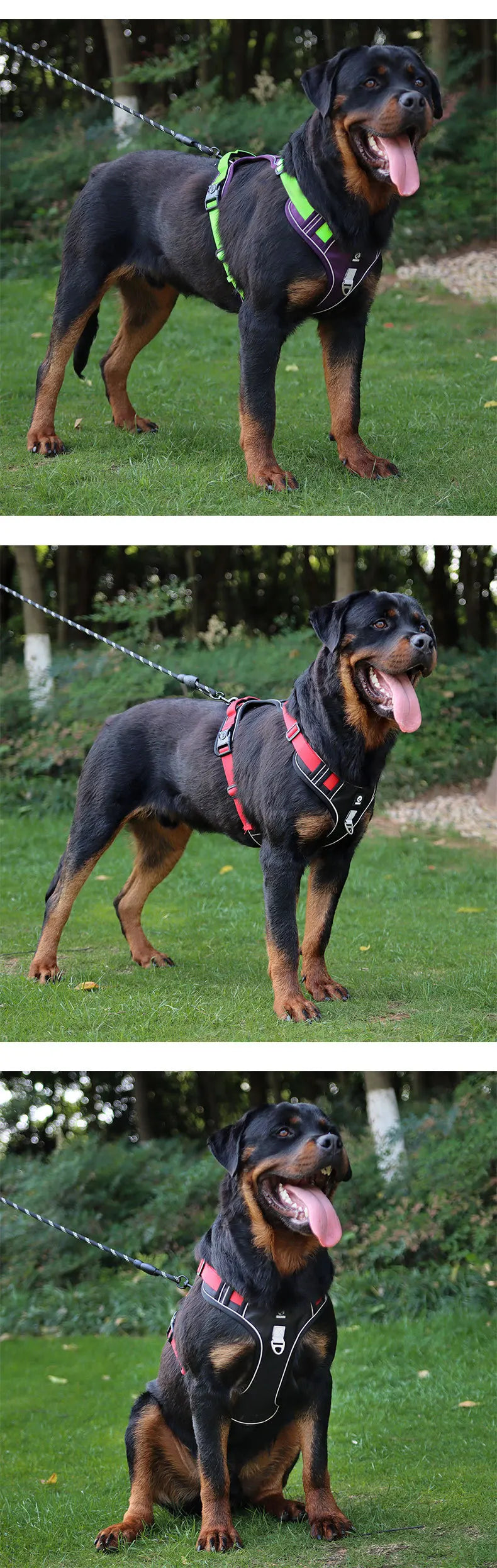 Harnais pour chien réfléchissant réglable – Harnais de selle sans traction pour la marche et l’entraînement, avec sangle de poitrine, adapté aux petits, moyens et grands chiens