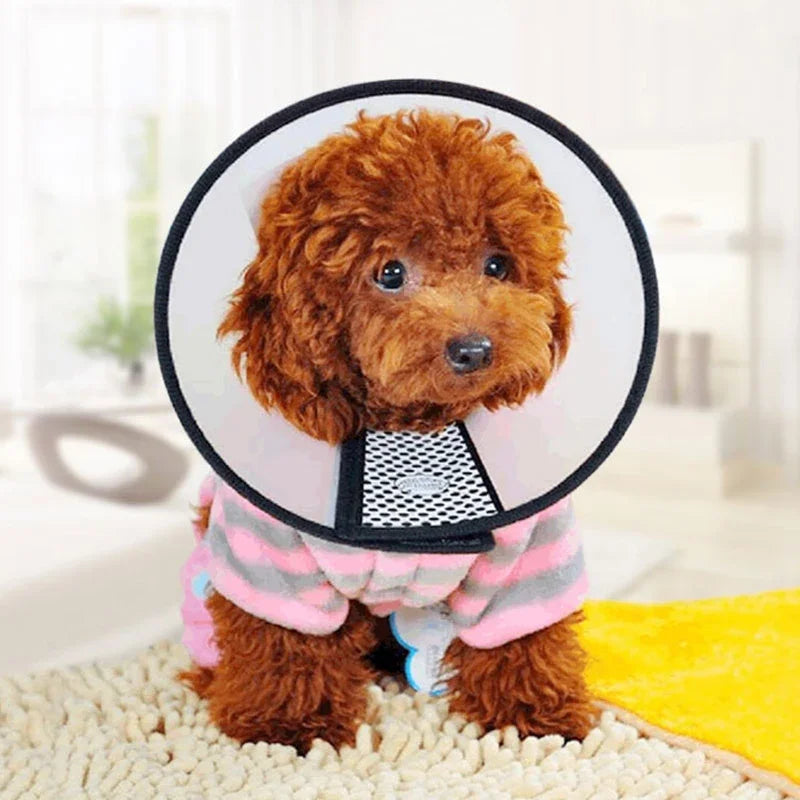 Collerette de récupération pour chien et chat – protection anti-morsure et anti-léchage, col médical ajustable