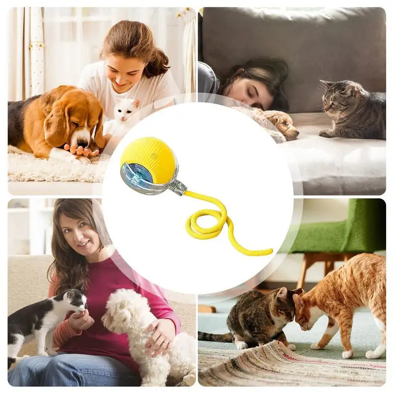 Jouets Interactifs pour Chats