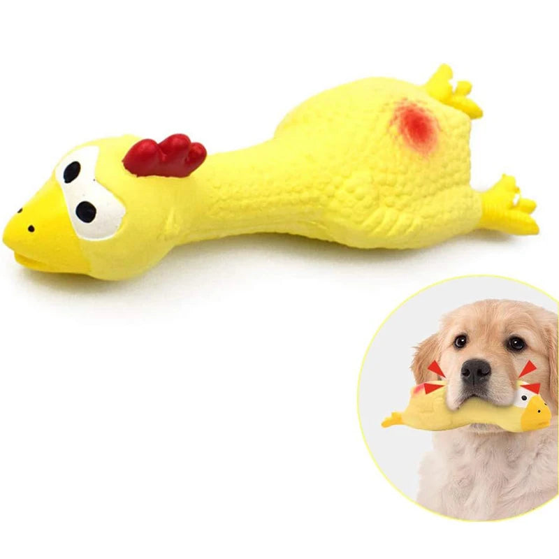 Jouet couineur pour chien – Poulet en caoutchouc souple et sûr, parfait pour chiots