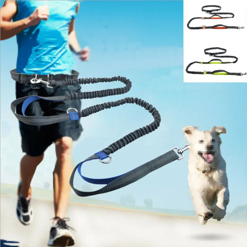 Laisse Réfléchissante Mains Libres – Ceinture Élastique pour Courir avec Chien, Corde de Traction Ajustable avec Anneau en Métal
