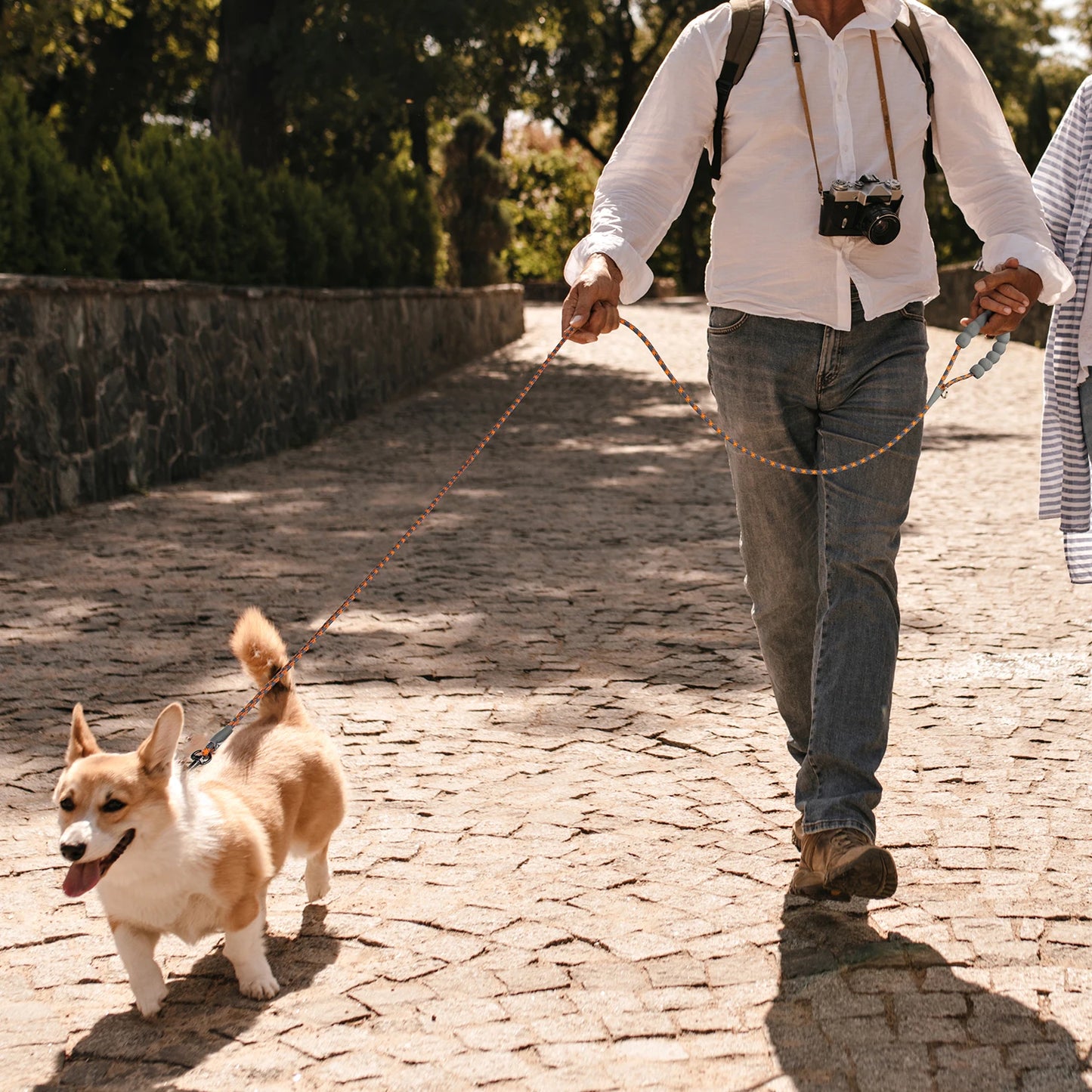 Laisse longue réfléchissante pour chien – 1,2M à 5M, robuste et sécurisée
