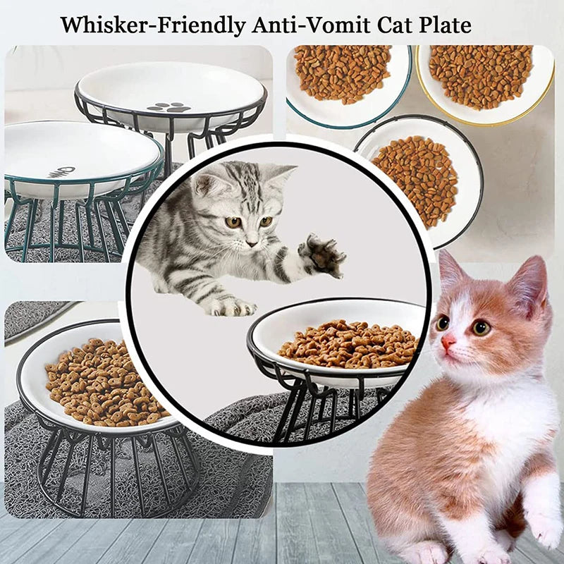 Gamelle surélevée en céramique pour chat et chien – bol alimentaire et abreuvoir design