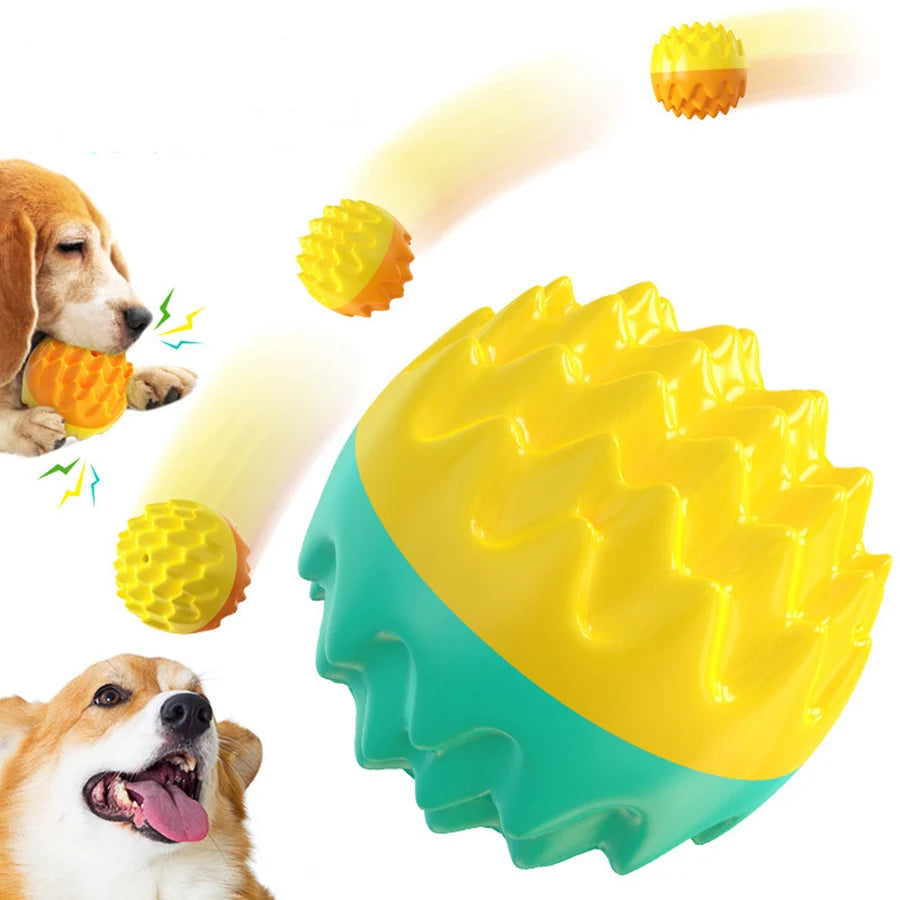 Balle jouet pour chien et chat – Mâchouiller, nettoyage des dents, résistante aux morsures