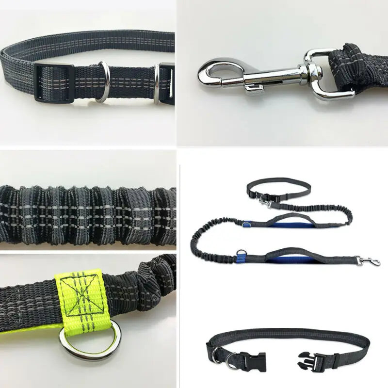 Laisse Réfléchissante Mains Libres – Ceinture Élastique pour Courir avec Chien, Corde de Traction Ajustable avec Anneau en Métal