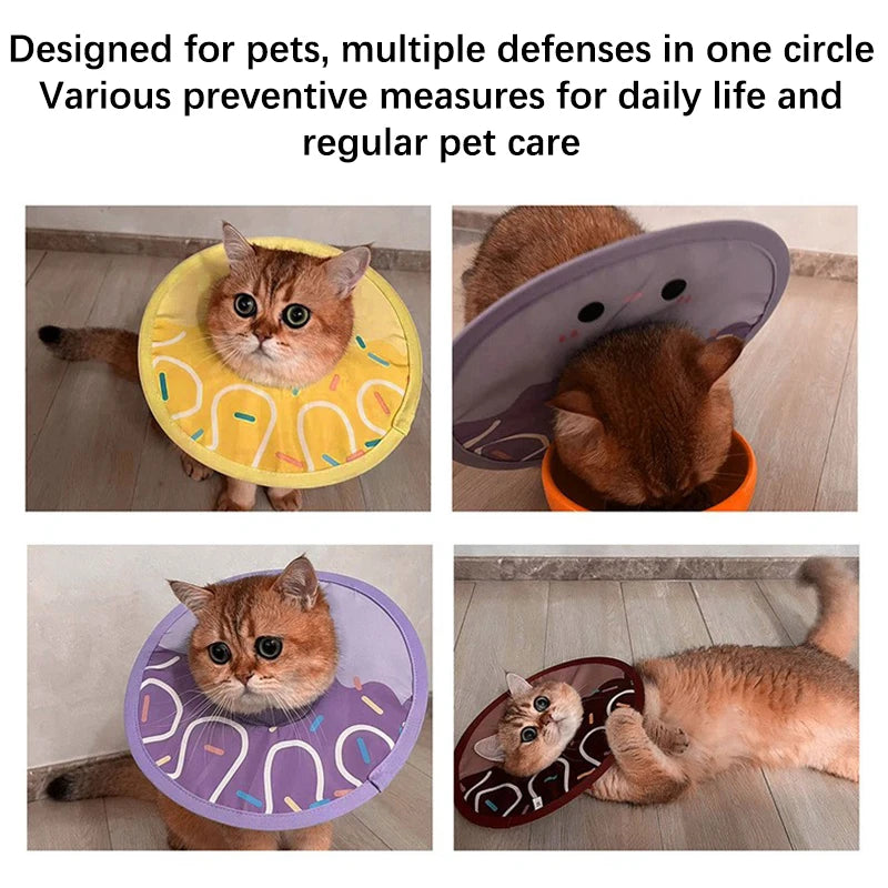 Collier médical de protection pour chiens et chats – collerette anti-morsure et anti-léchage, guérison post-opératoire
