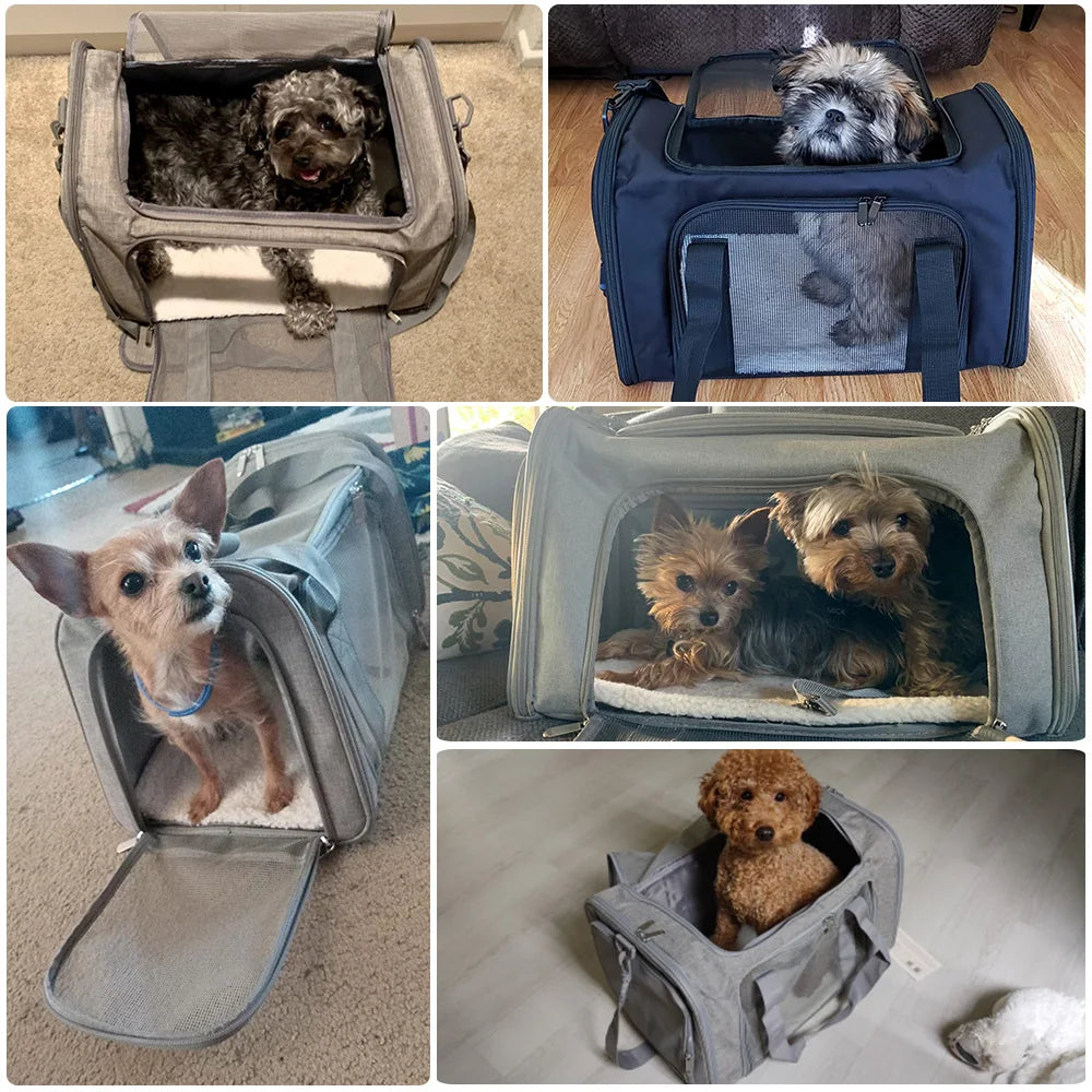 Sac de Transport pour Chiens & Chats – Sac à Dos Souple, Voyage & Avion