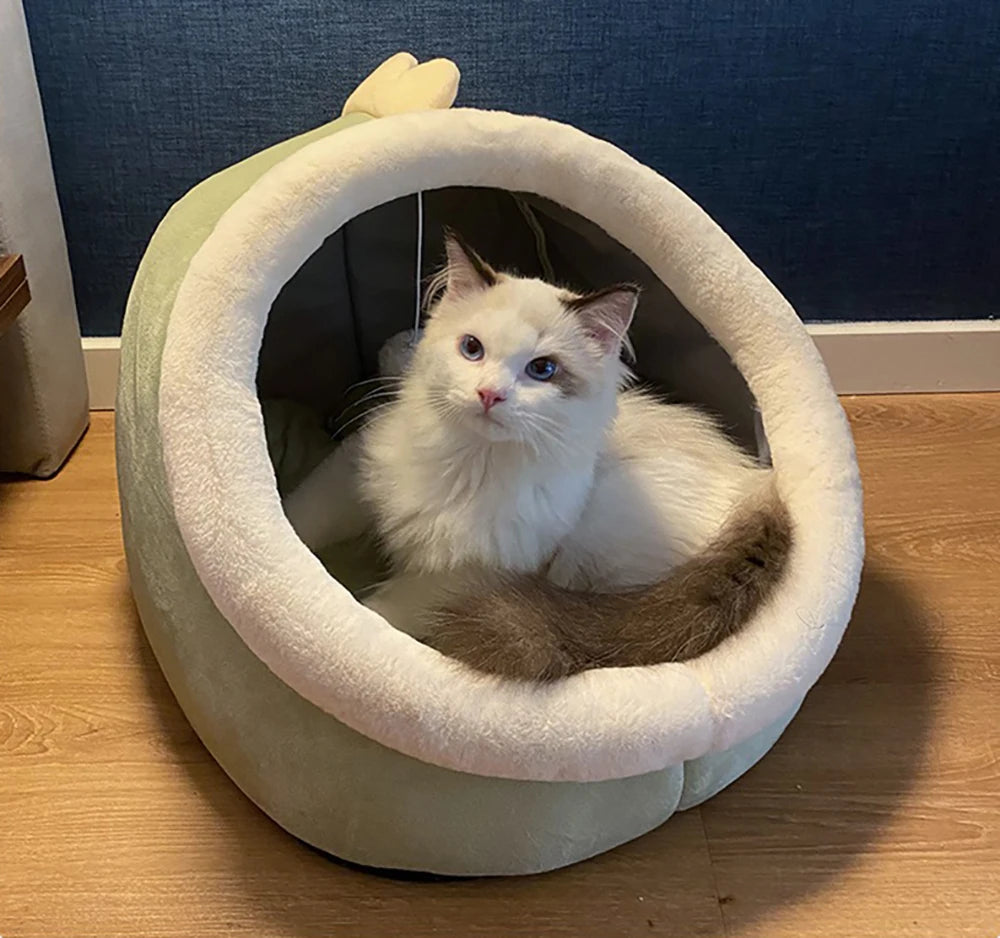 Maison Cocoon pour Animaux