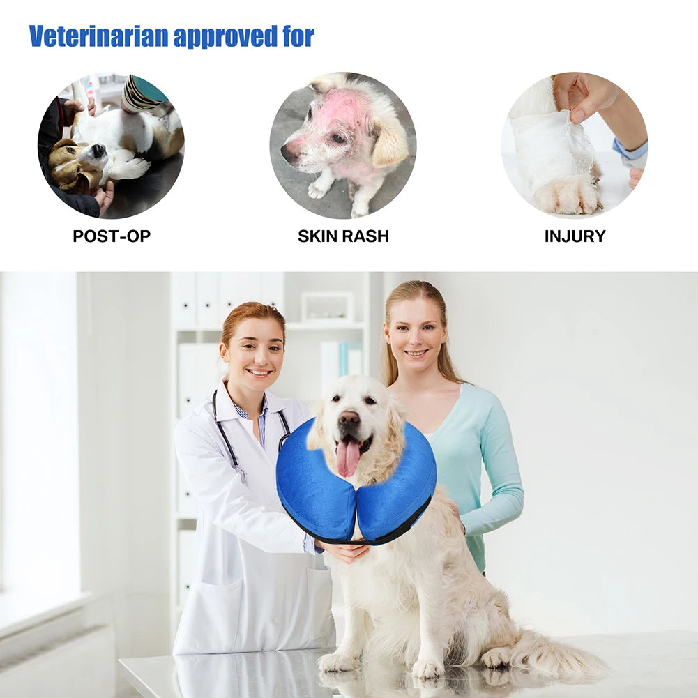 Collier Gonflable de Récupération pour Chiens et Chats – Collier Protecteur Doux Après Chirurgie, Anti-Léchage et Anti-Morsure