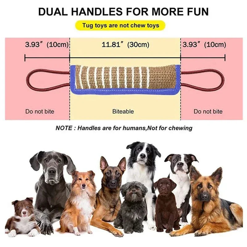 Bâton et coussin à mâcher en jute pour chien – Entraînement et nettoyage des dents