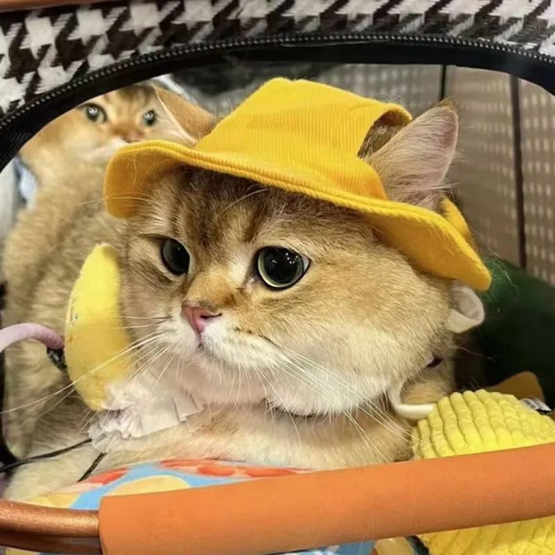 Cute Cat Dog Pets Hat with Ear Hole Dog Beach Visor Hat Sunhat for Cat Accessories Sun Cap Pet Outdoor Hat Supply for Dog Costum