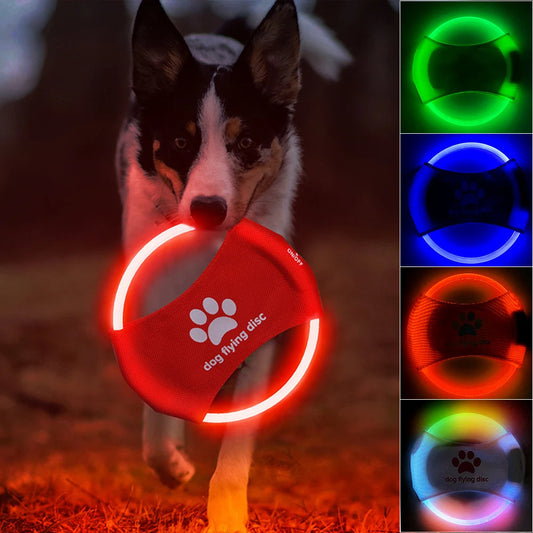 Disque Volant LED Brillant pour Dressage et Jeu