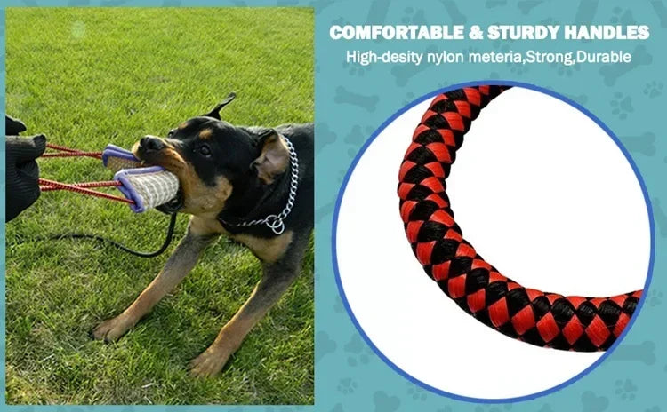 Bâton et coussin à mâcher en jute pour chien – Entraînement et nettoyage des dents