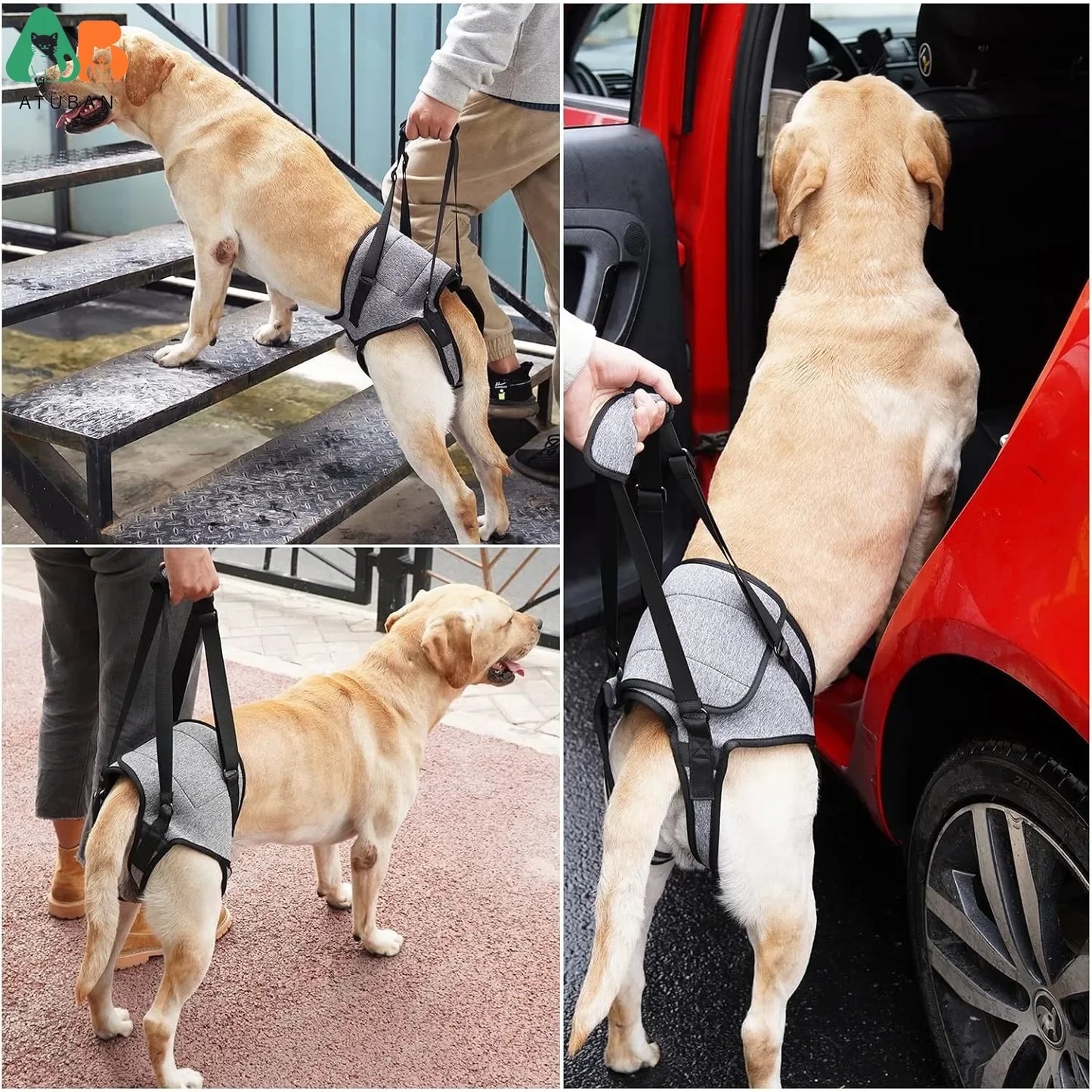 Harnais de soutien pour chiens – Écharpe de portage pour pattes arrière, aide à la rééducation des chiens âgés, affaiblis ou blessés