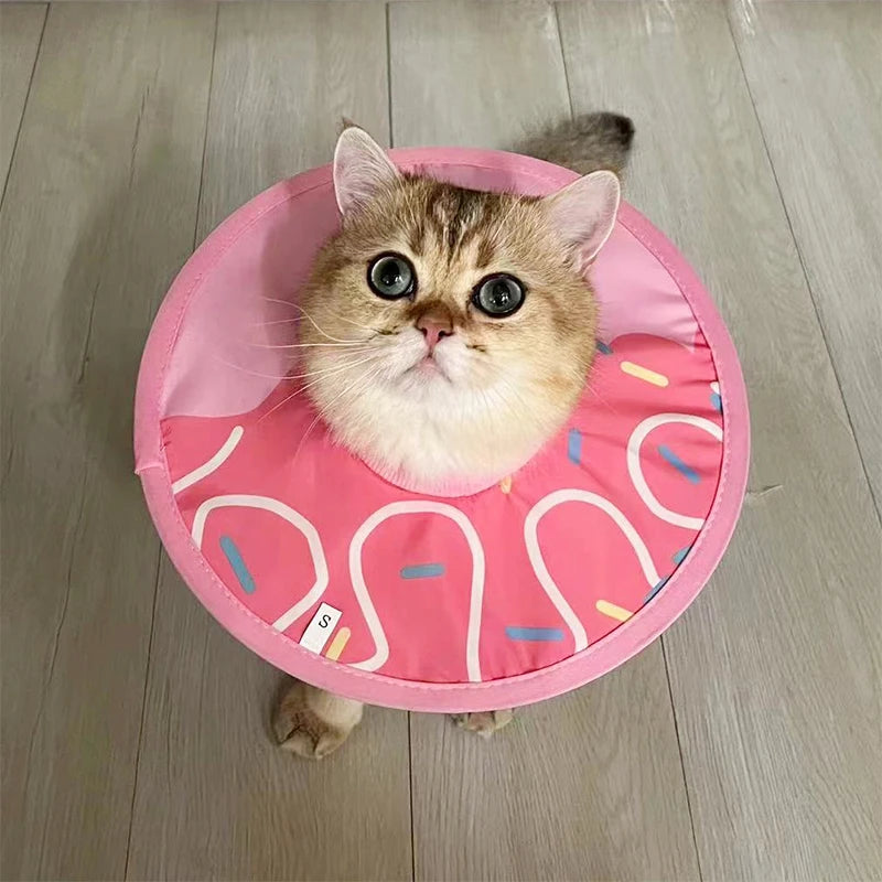 Collier médical de protection pour chiens et chats – collerette anti-morsure et anti-léchage, guérison post-opératoire