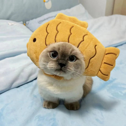 Chapeau mignon pour chat – déguisement poisson, léger et respirant, accessoire amusant en peluche.