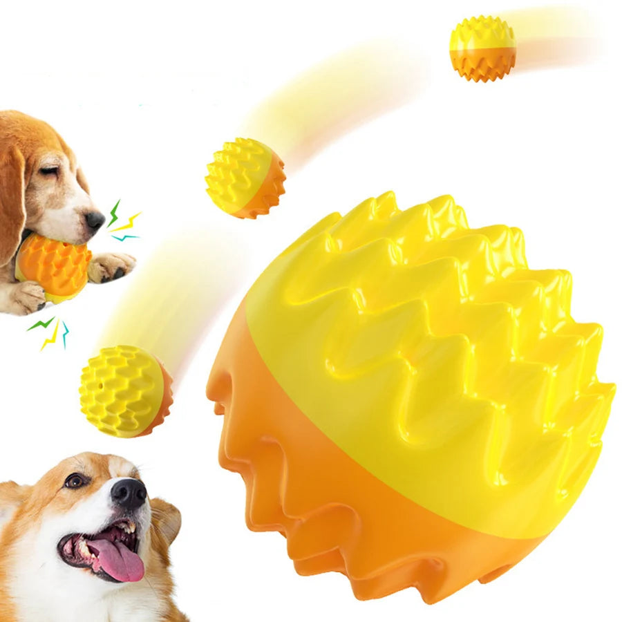 Balle jouet pour chien et chat – Mâchouiller, nettoyage des dents, résistante aux morsures