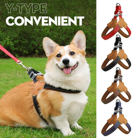 Harnais pour Chien en Forme de Y – Anti-Traction, Réglable et Réfléchissant, Gilet Confortable avec Rembourrage Doux, Facile à Mettre pour Petits, Moyens et Grands Chiens