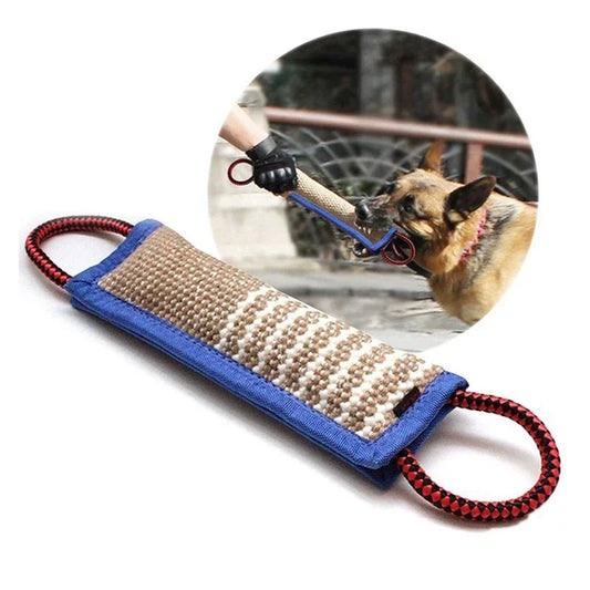 Bâton et coussin à mâcher en jute pour chien – Entraînement et nettoyage des dents