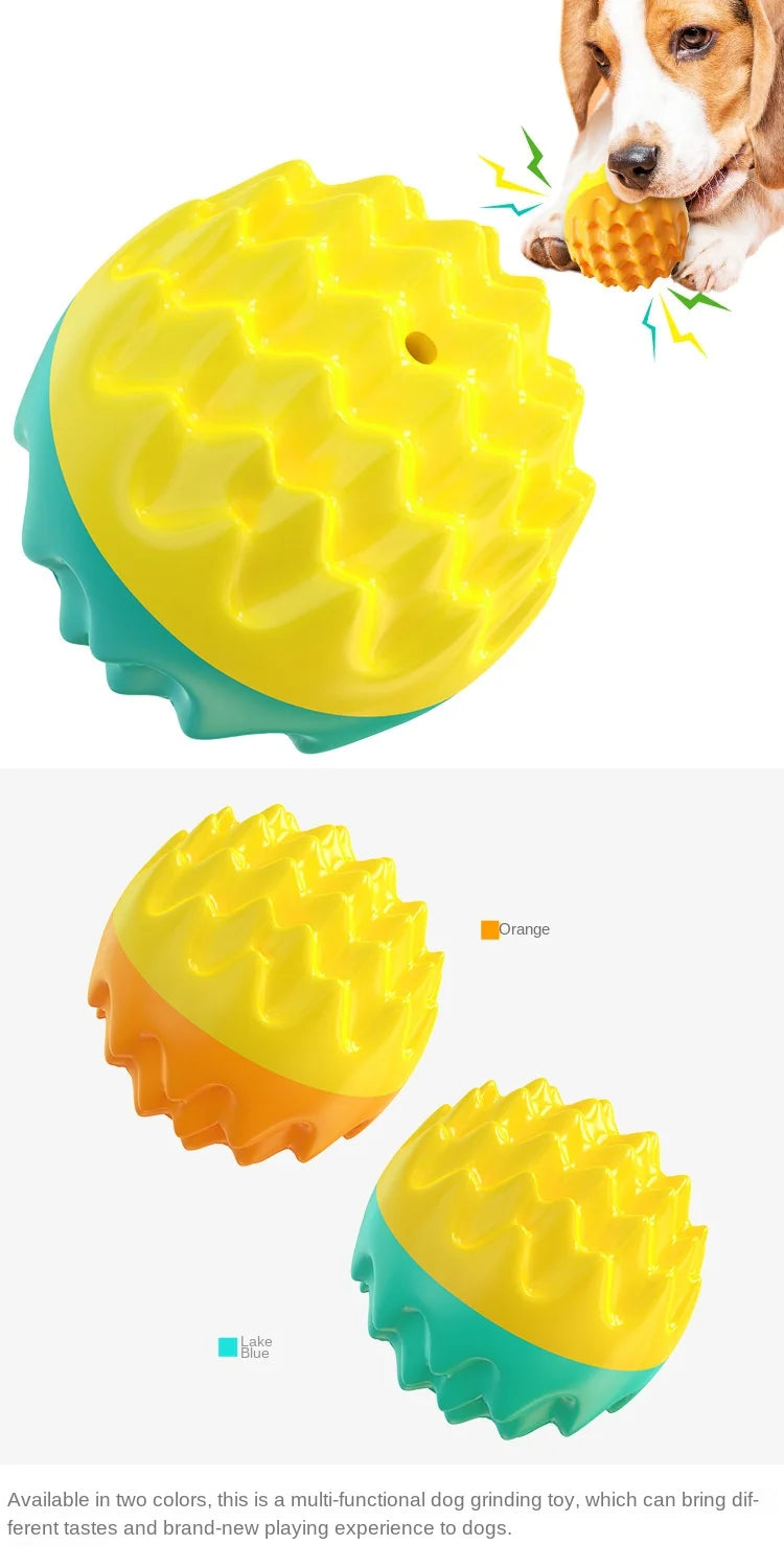 Balle jouet pour chien et chat – Mâchouiller, nettoyage des dents, résistante aux morsures