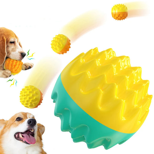 Balle jouet pour chien et chat – Mâchouiller, nettoyage des dents, résistante aux morsures